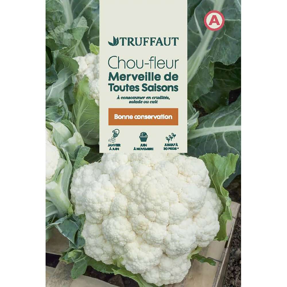 Graines de chou fleur merveille de toutes saisons en sachet