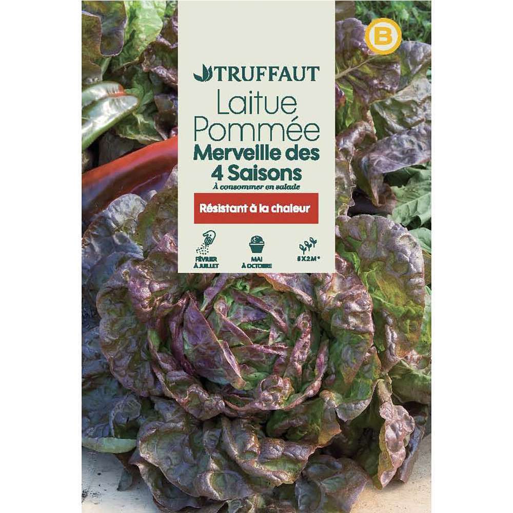 Graines de laitue Merveille des quatre saisons en sachet
