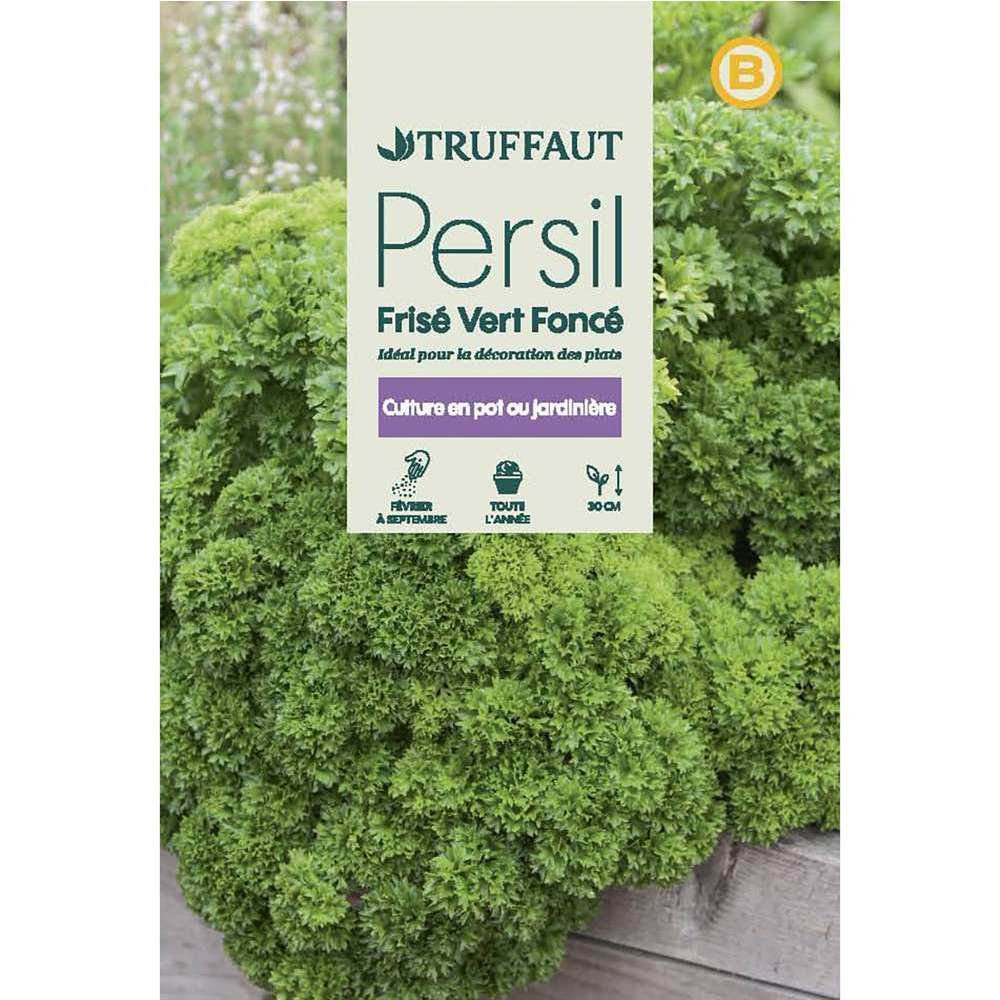 Graines de persil frisé Vert Foncé en sachet