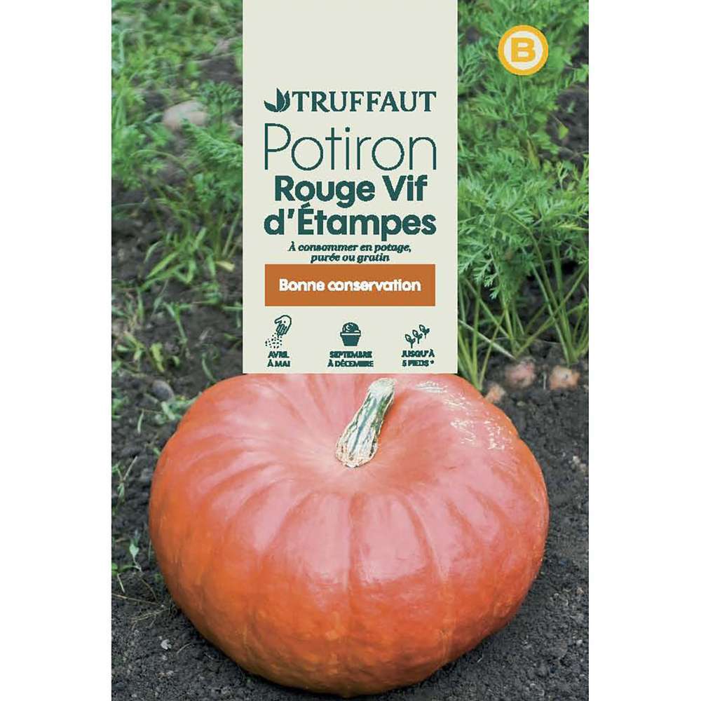 Graines de potiron Rouge Vif d'etampes en sachet