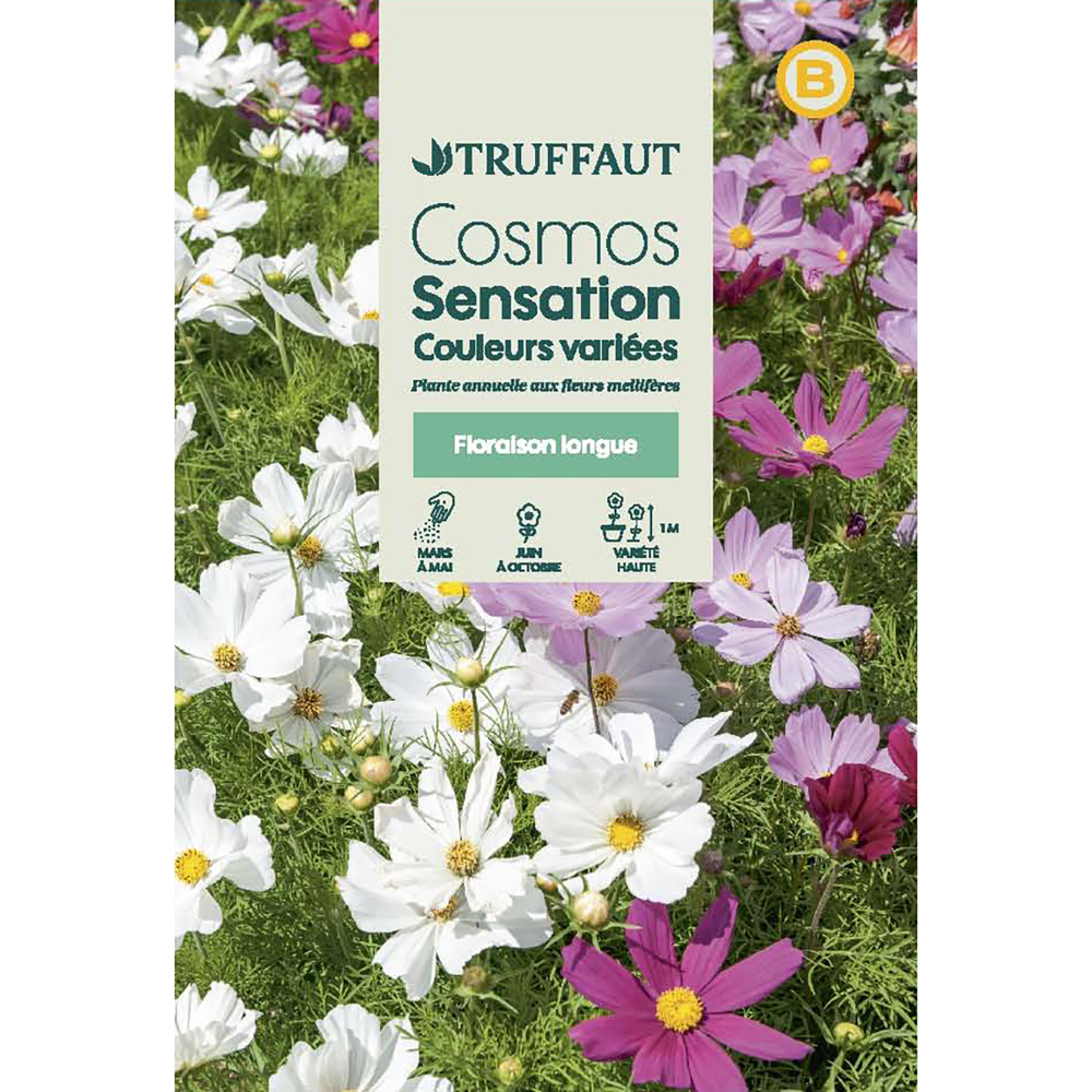 Cosmos sensation à Fleur Géante : En sachet