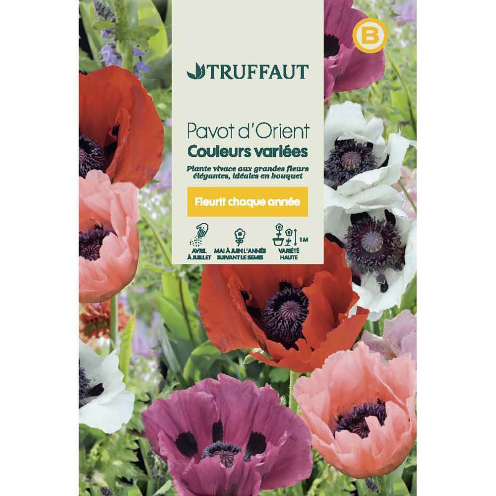 Pavot d’Orient couleur variée : en sachet