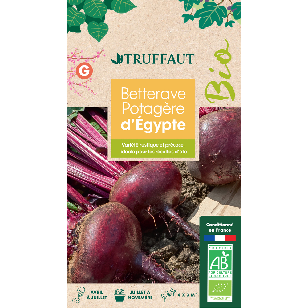 Graines de betterave noire d’Egypte Bio en sachet
