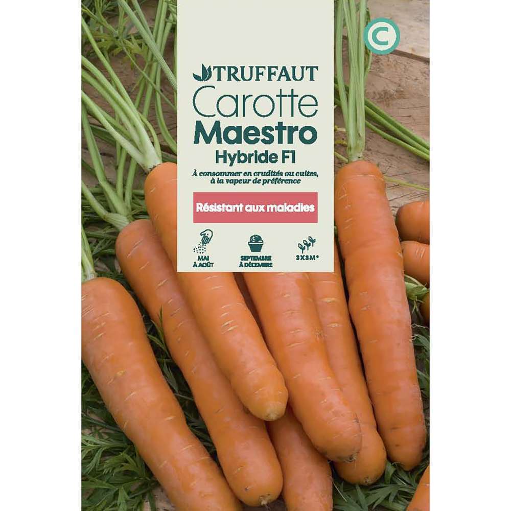Graines de carotte Maestro hybride F1 en sachet