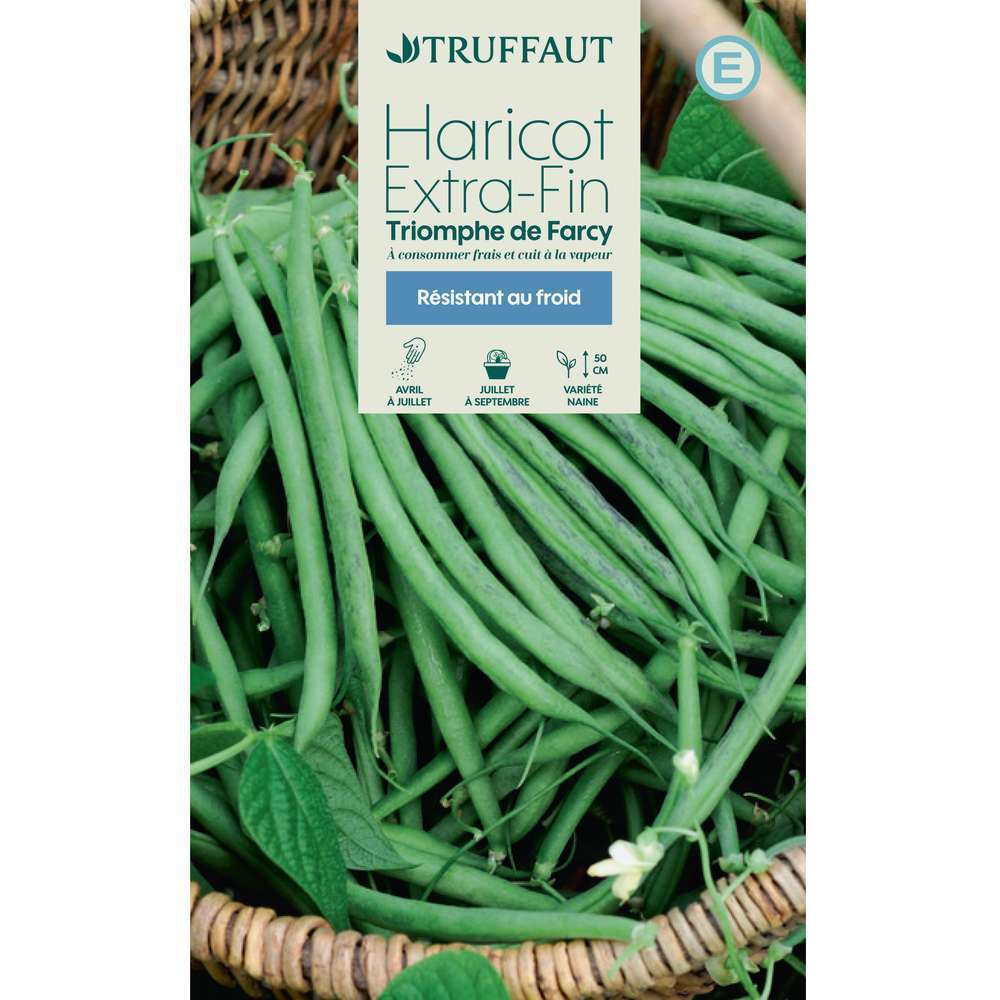 Graines de haricot nain extra-fin Triomphe de Farcy en boite