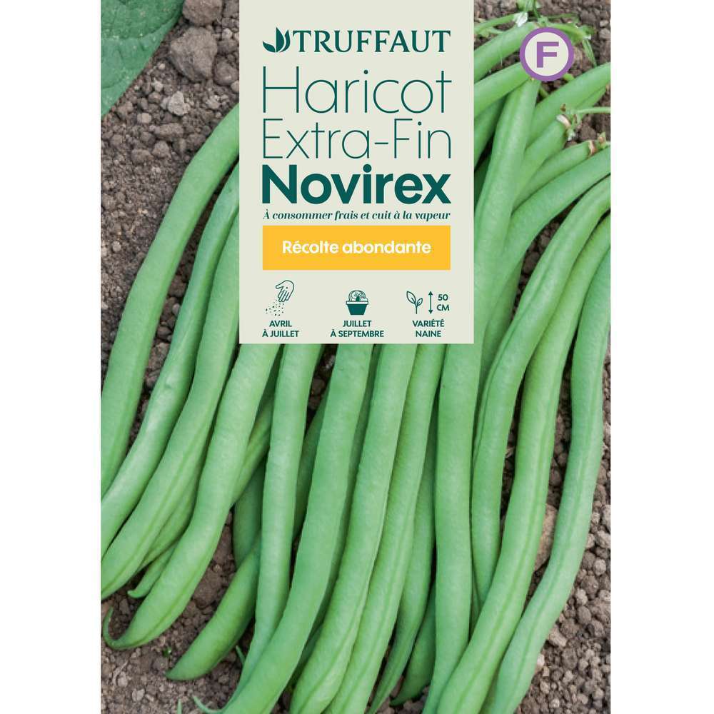 Graines de haricot nain extra-fin Novirex en boite