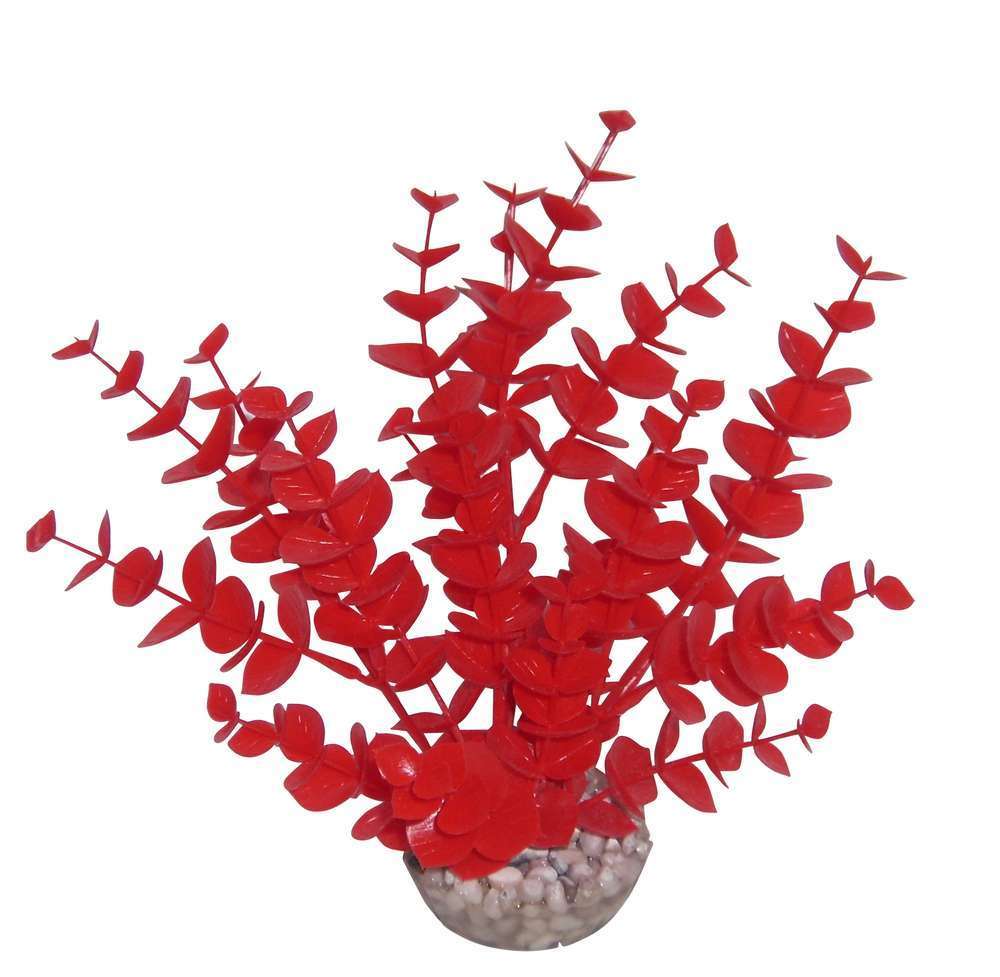 Plante artificielle aquarium eucalyptus 19 cm