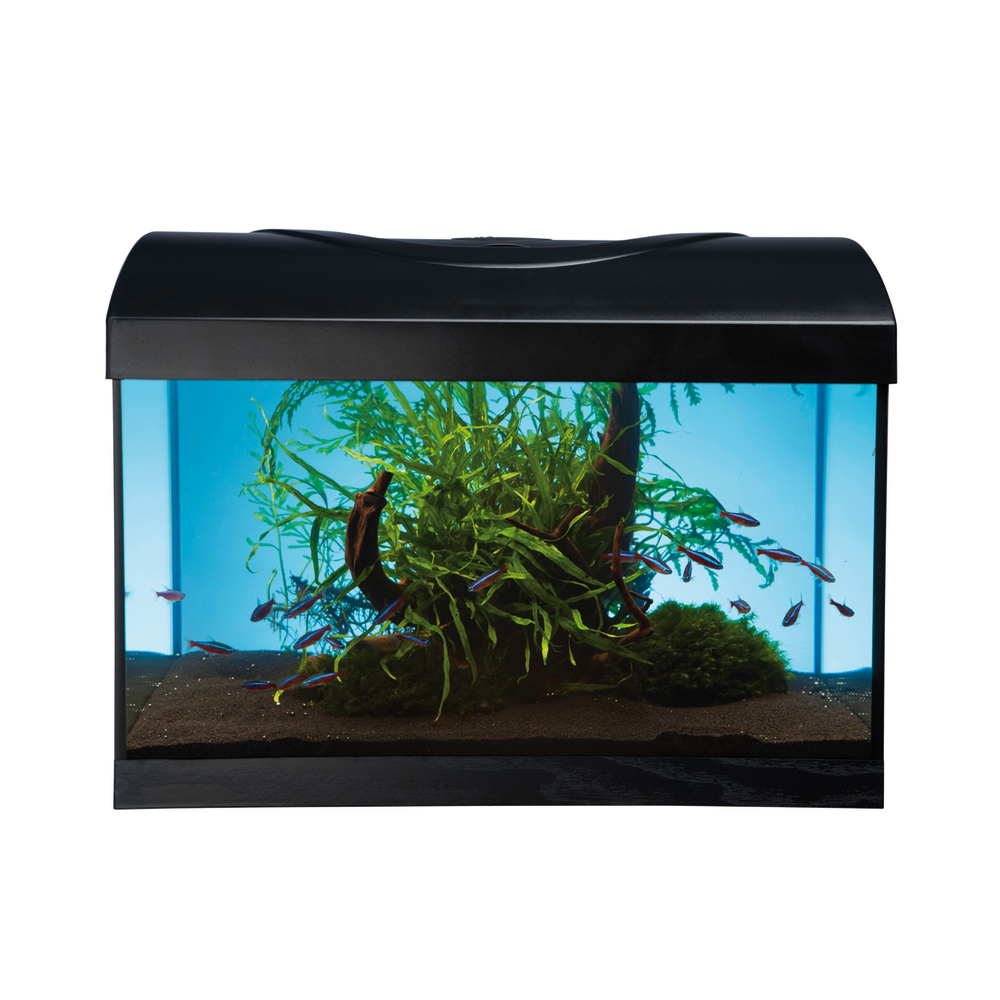 Aquarium Start Up poisson d'eau douce, noir - 25 litres