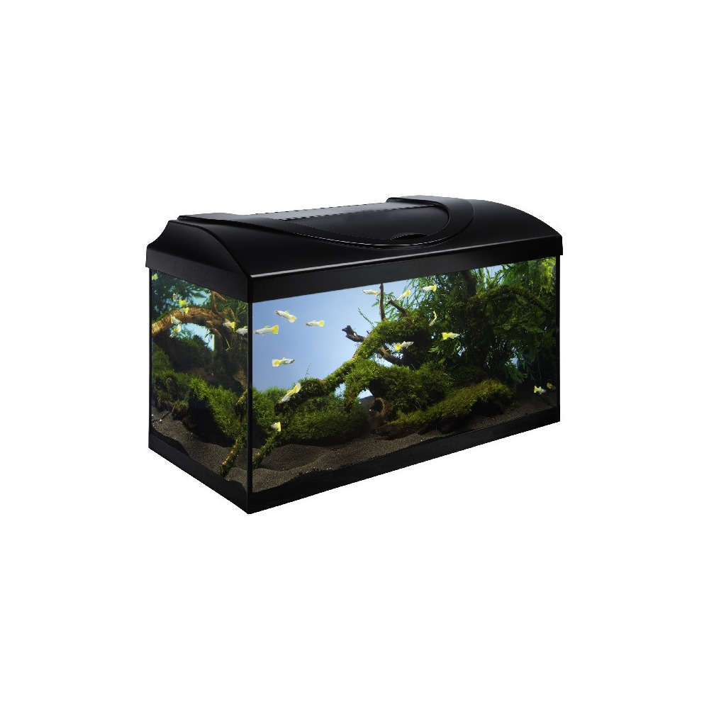 Aquarium équipé Start Up pour poissons d'eau douce noir - 54 litres