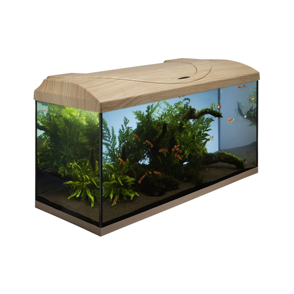 Aquarium Start Up poisson d'eau douce, hêtre - 110 litres