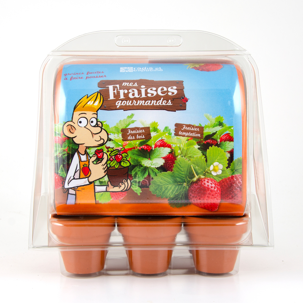 Graines aromatiques- Mini serre 6 pots fraisiers