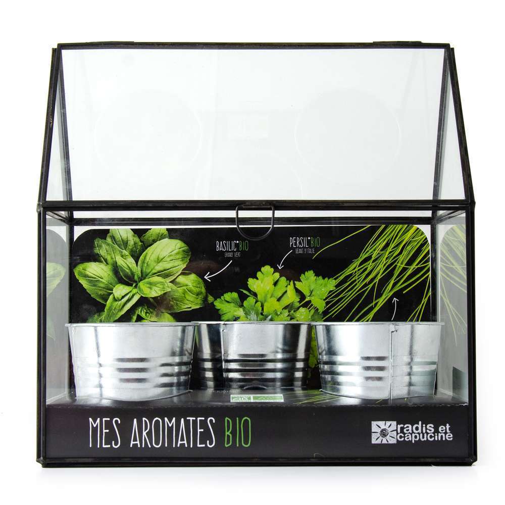 Chassis noir graines d'aromates bio
