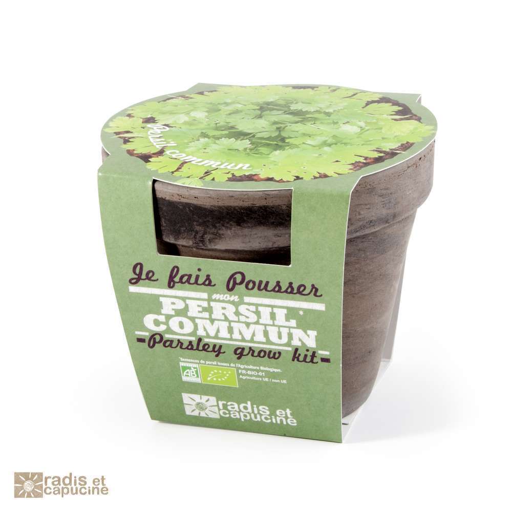 Pot persil Bio en terre cuite