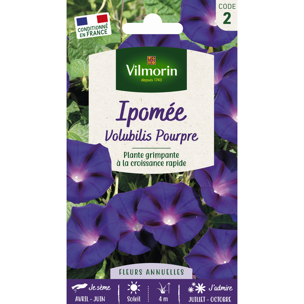 Ipomée Volubilis Pourpre 6 g