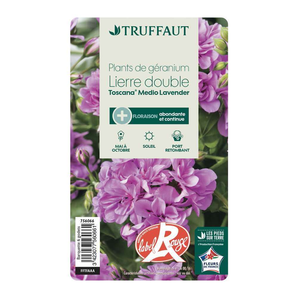Géranium lierre double 'Toscana® Medio Lavender' Label Rouge: 6 plants