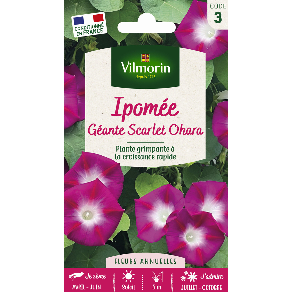 Vilmorin - Ipomee Scarlet Ohara