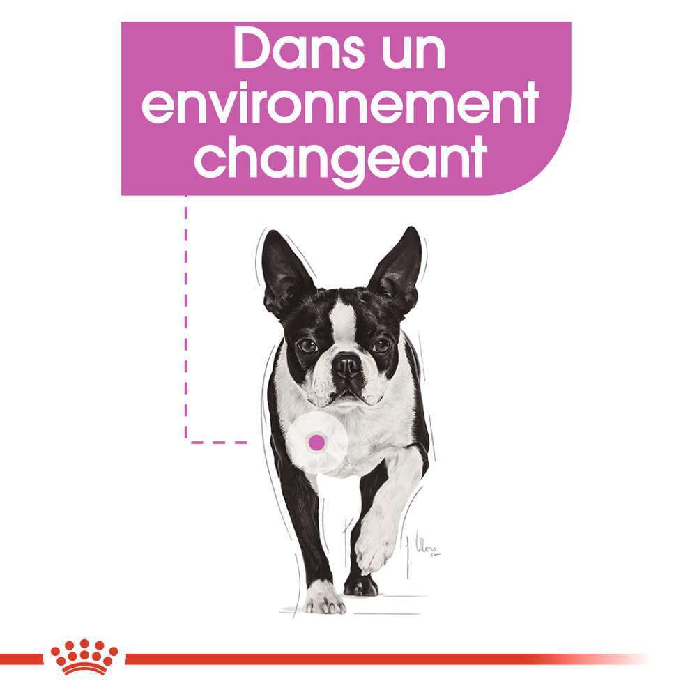 Croquettes petit chien nervosité Mini Relax Care 3kg