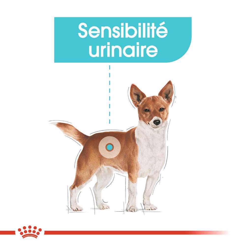Croquettes petit chien sensibilité urinaire Mini Urinary 3kg