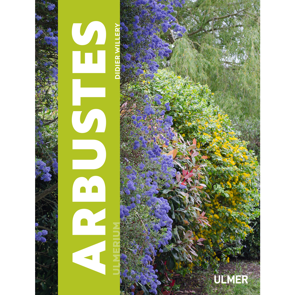 Arbustes