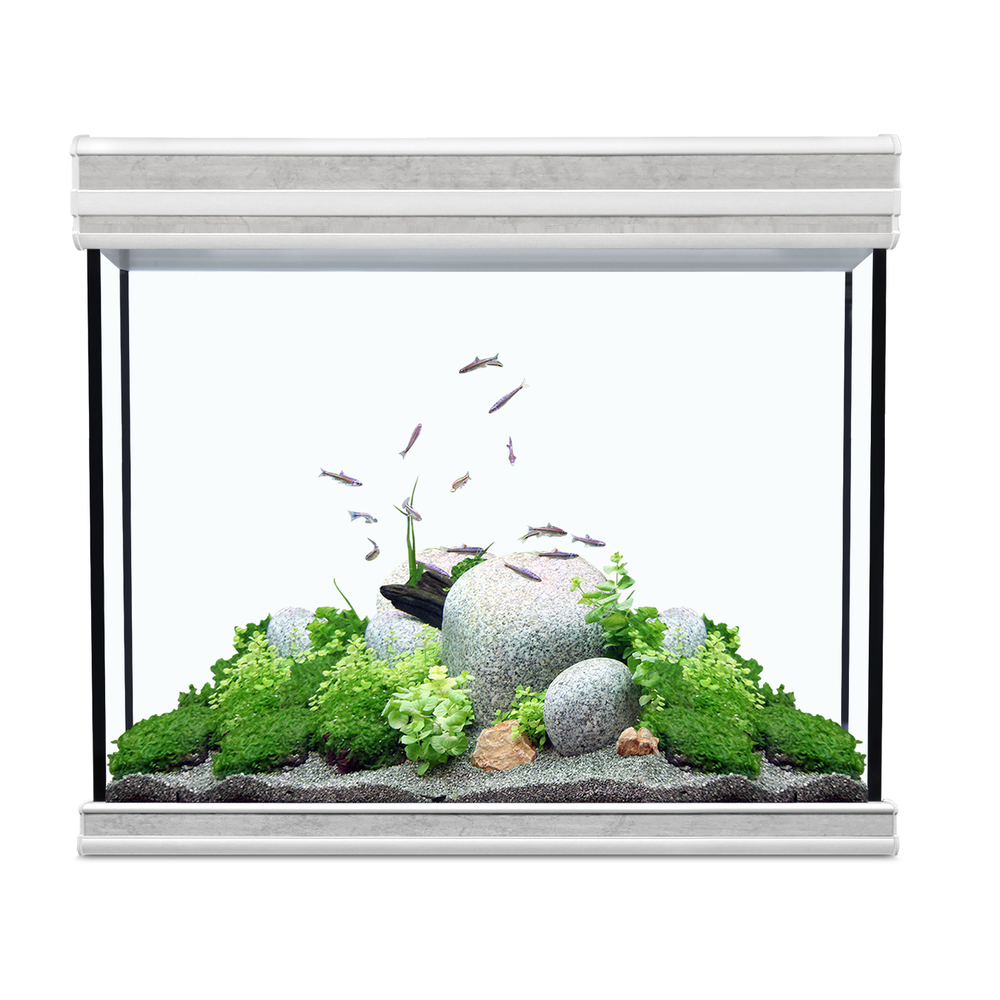 Aquarium fusion 70 beton