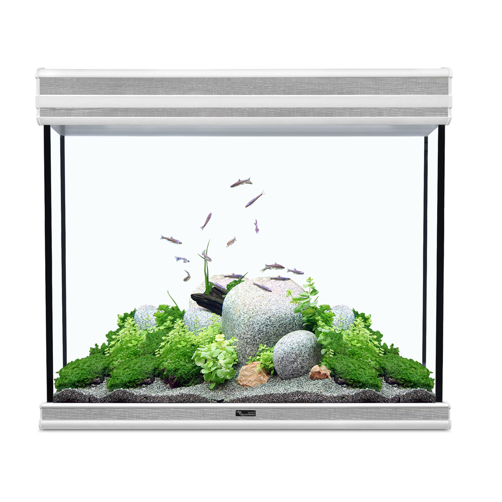 Aquarium fusion 70 gris