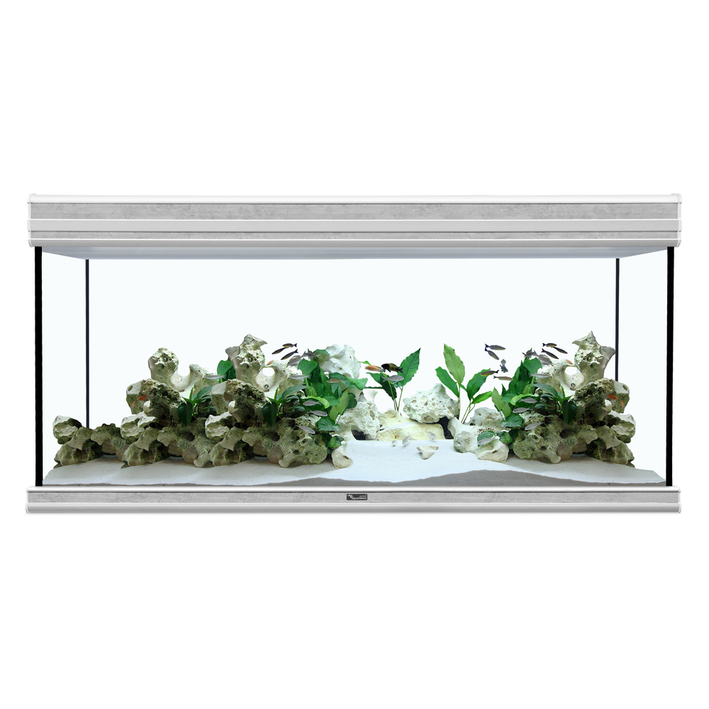 Aquarium fusion 120x40 beton