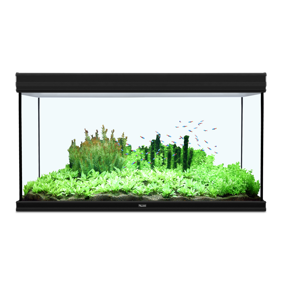 Aquarium fusion 120x60 cm noir