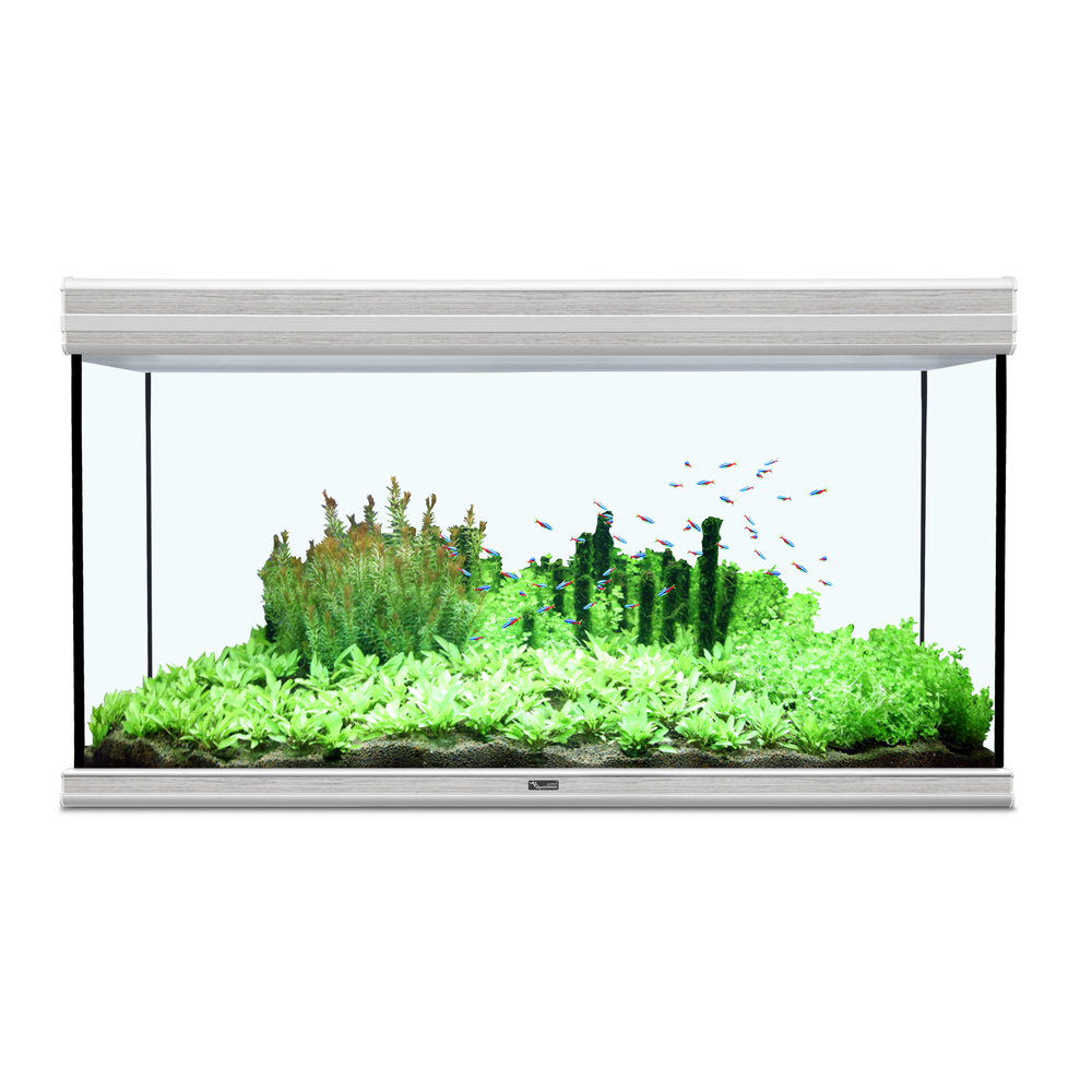 Aquarium fusion 120x60 cm chene blc