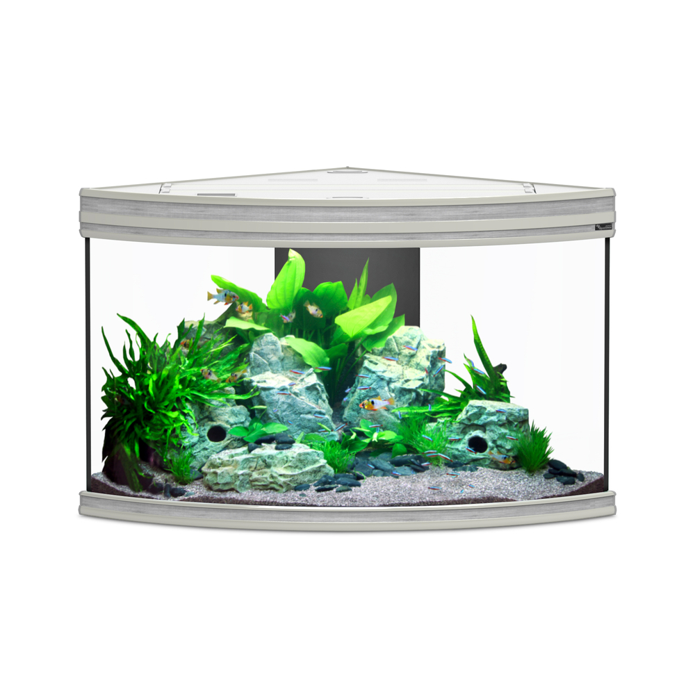 Aquarium fusion corner gris