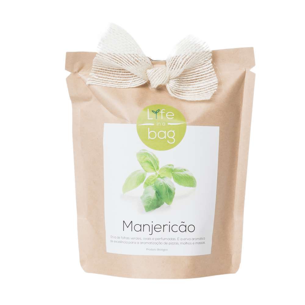 Kit bio prêt à pousser basilic