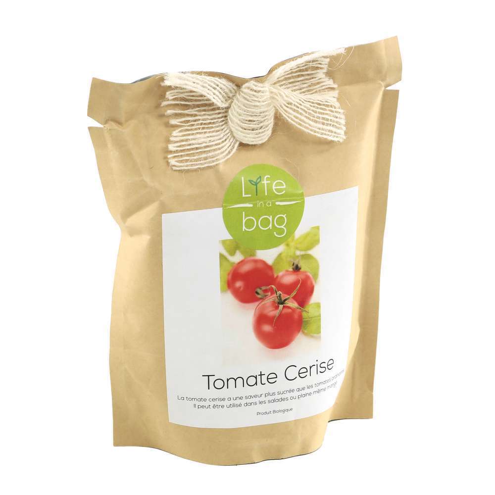 Kit bio prêt à pousser tomate cerise