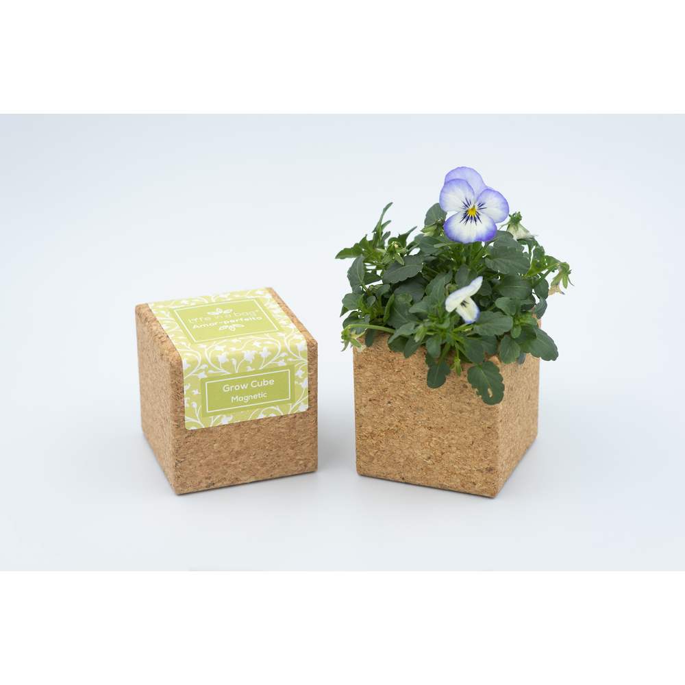Grow cube aimanté pensée