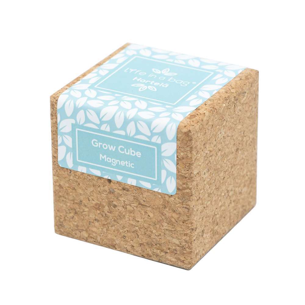 Grow cube aimanté menthe