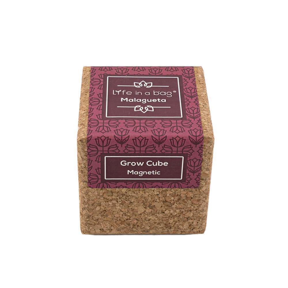 Grow cube aimanté piments