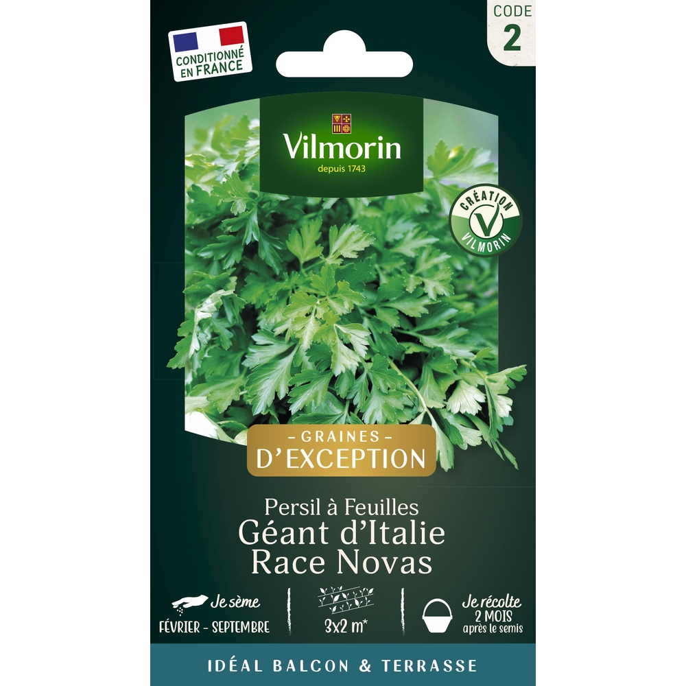 Graines de persil géant d'Italie en sachet