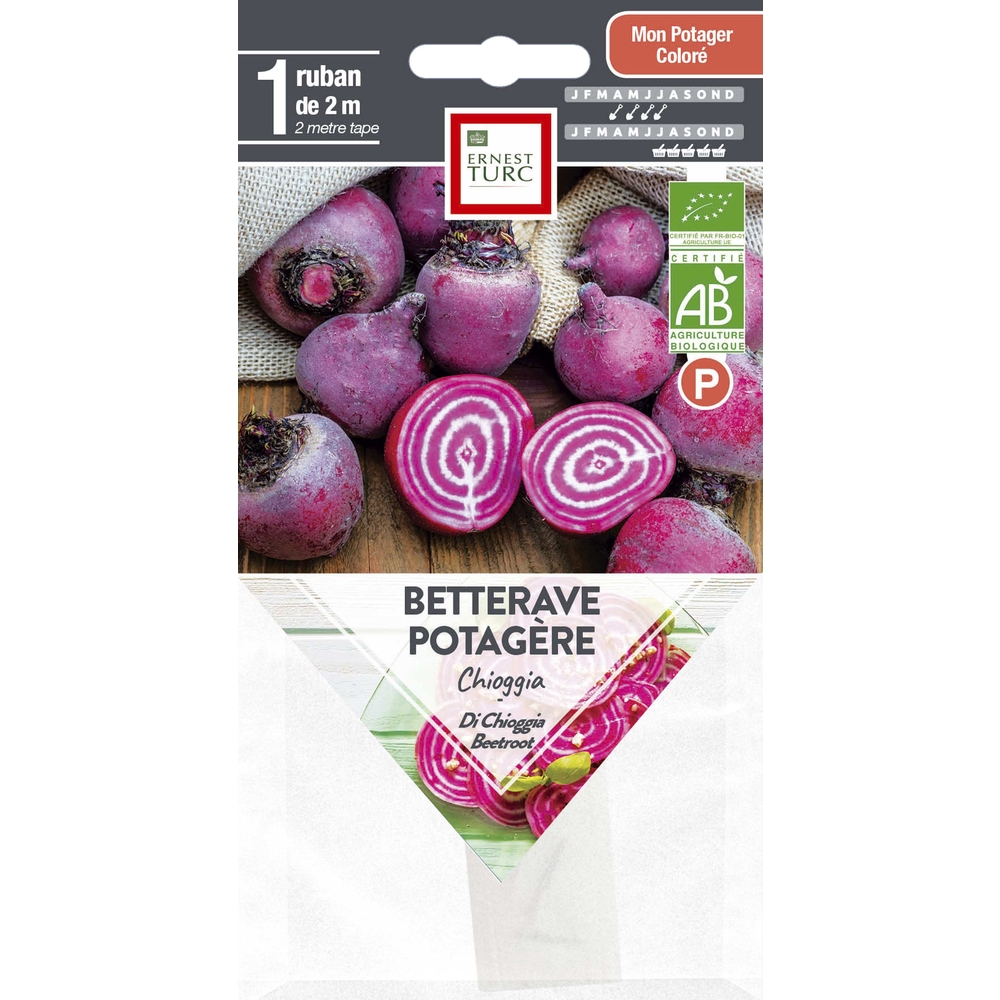 Graines de betterave Chioggia Bio en ruban pré-semé en sachet