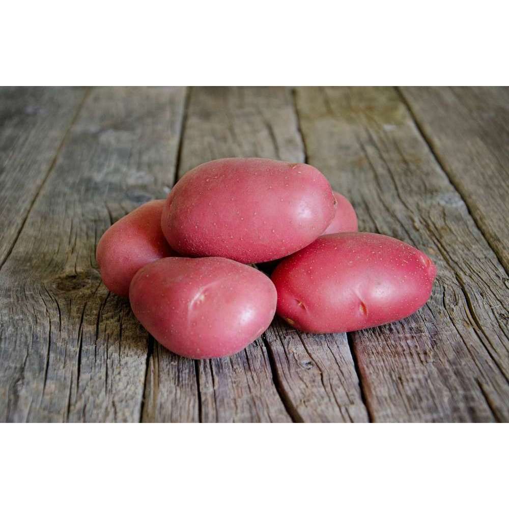 Acheter des pommes de terre en vrac : 5 kg disponibles.