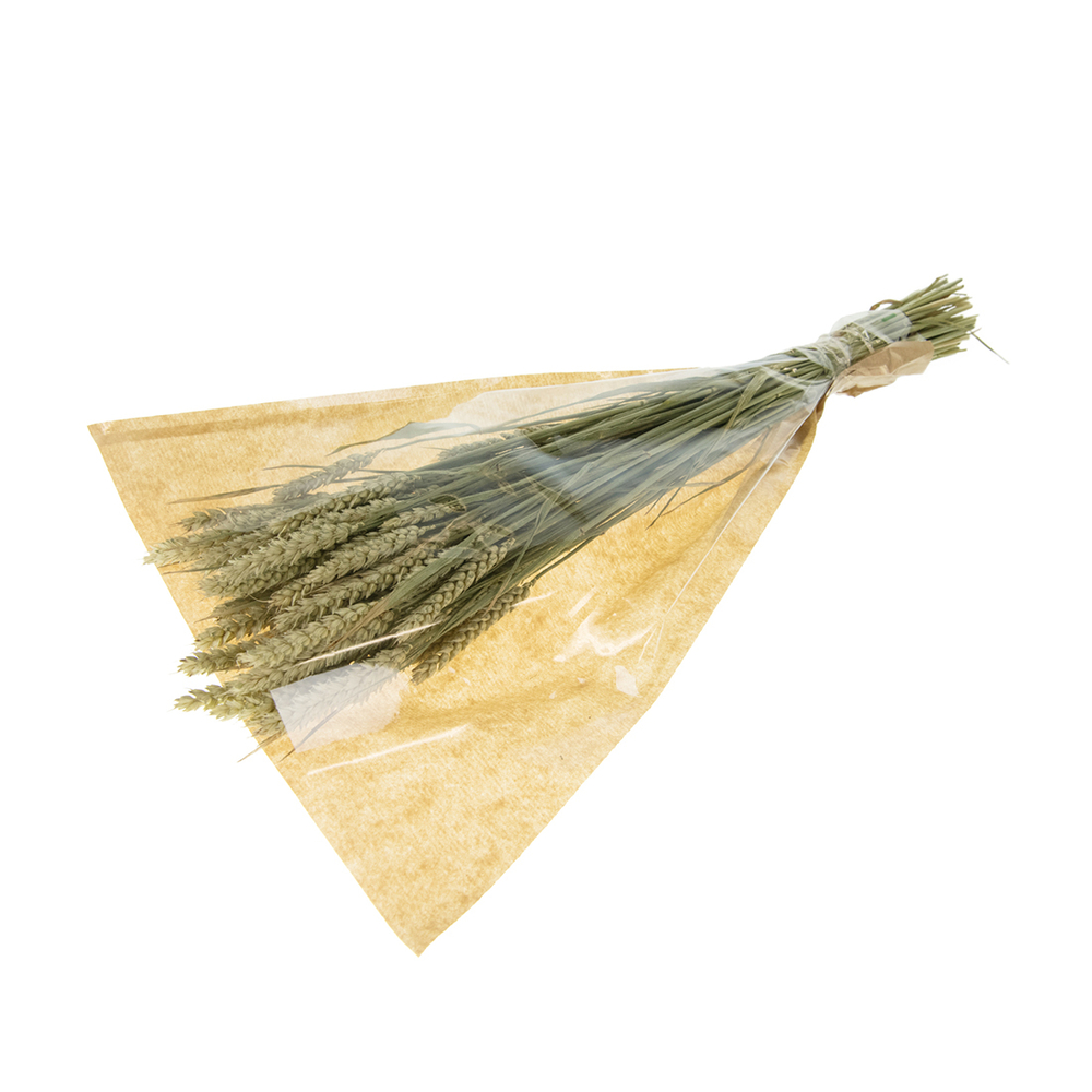 Bouquet de fleurs séchées Triticum