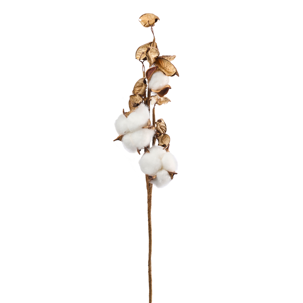 Branches de coton pour bouquet de fleurs séchées 8 cm