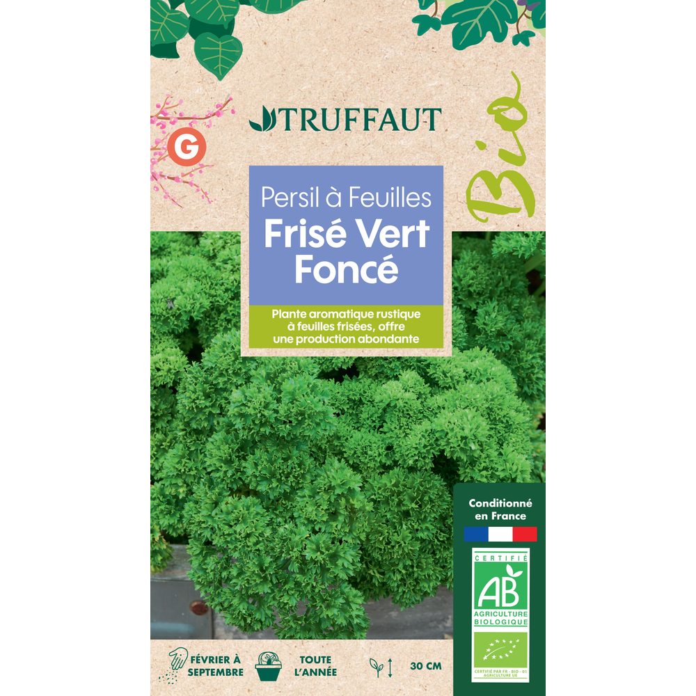 Persil Frisé Vert Foncé 4 g