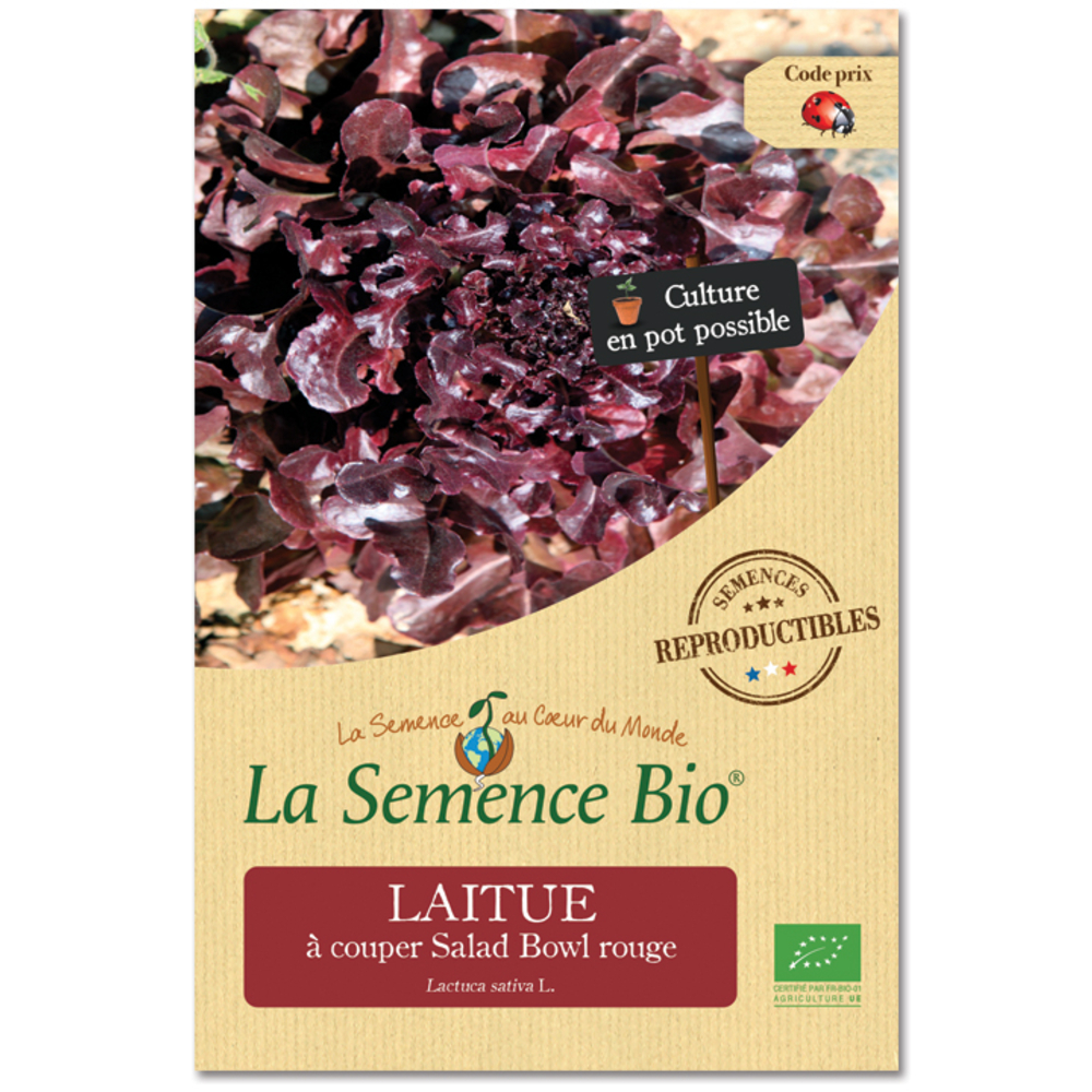 Graines potagères Laitue Salad Bowl Rouge Bio 0,4g