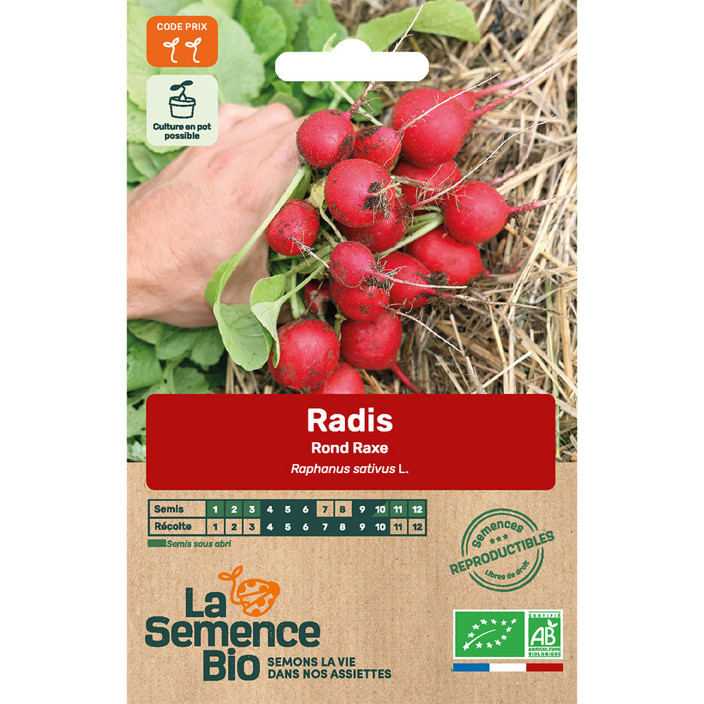 Graines potagères Radis Rond Raxe bio 2g
