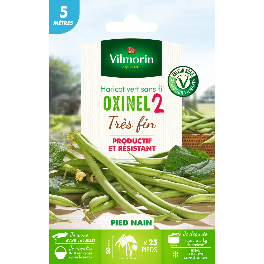 Haricot Nain Vert Oxinel 2 5 M
