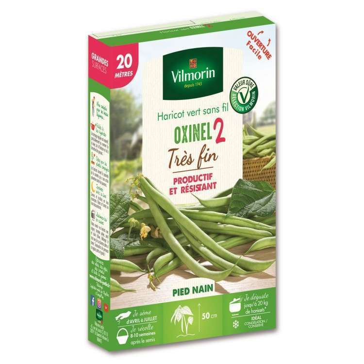 Haricot Nain Vert Oxinel 2 20 M