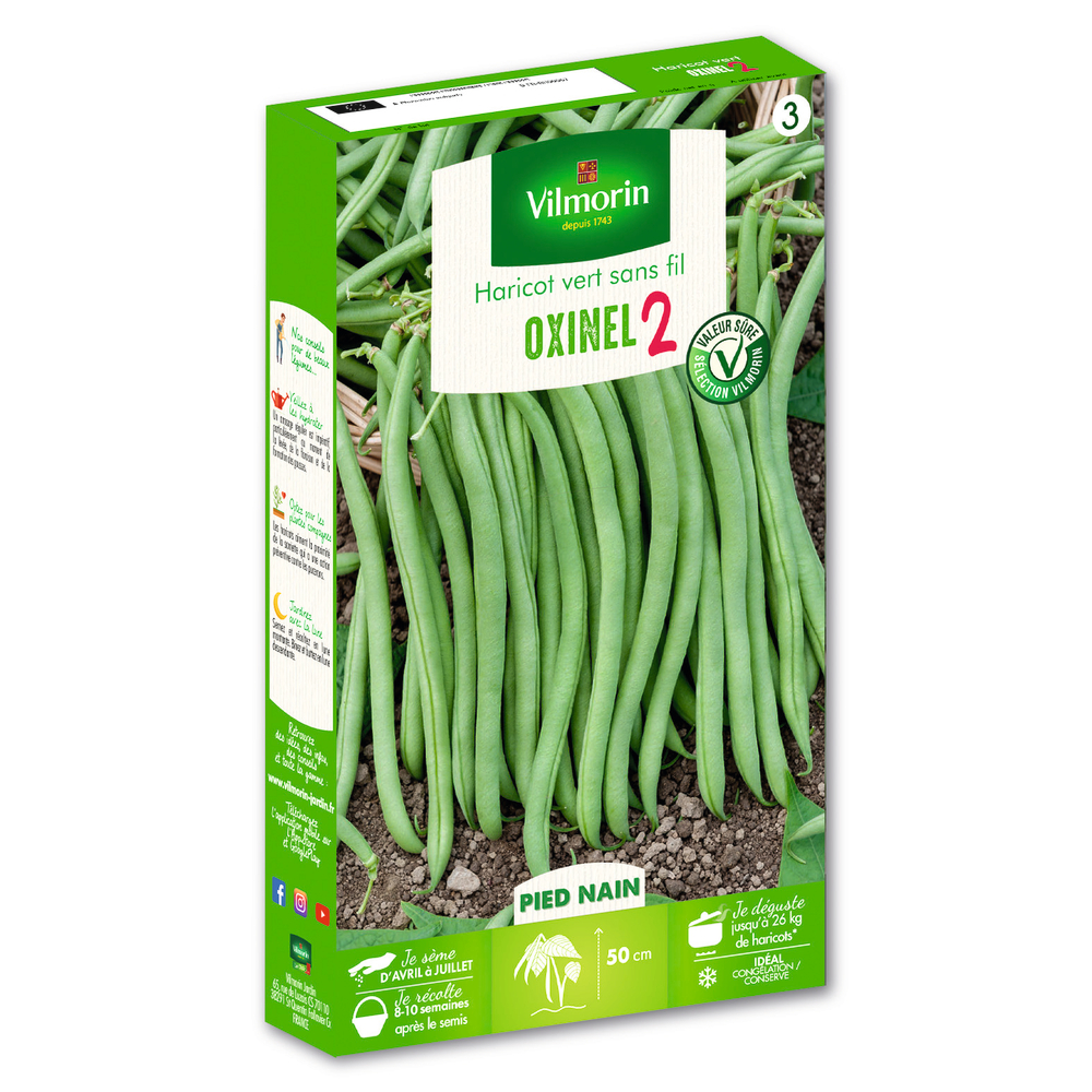 Haricot Nain Vert Oxinel 2 200 g