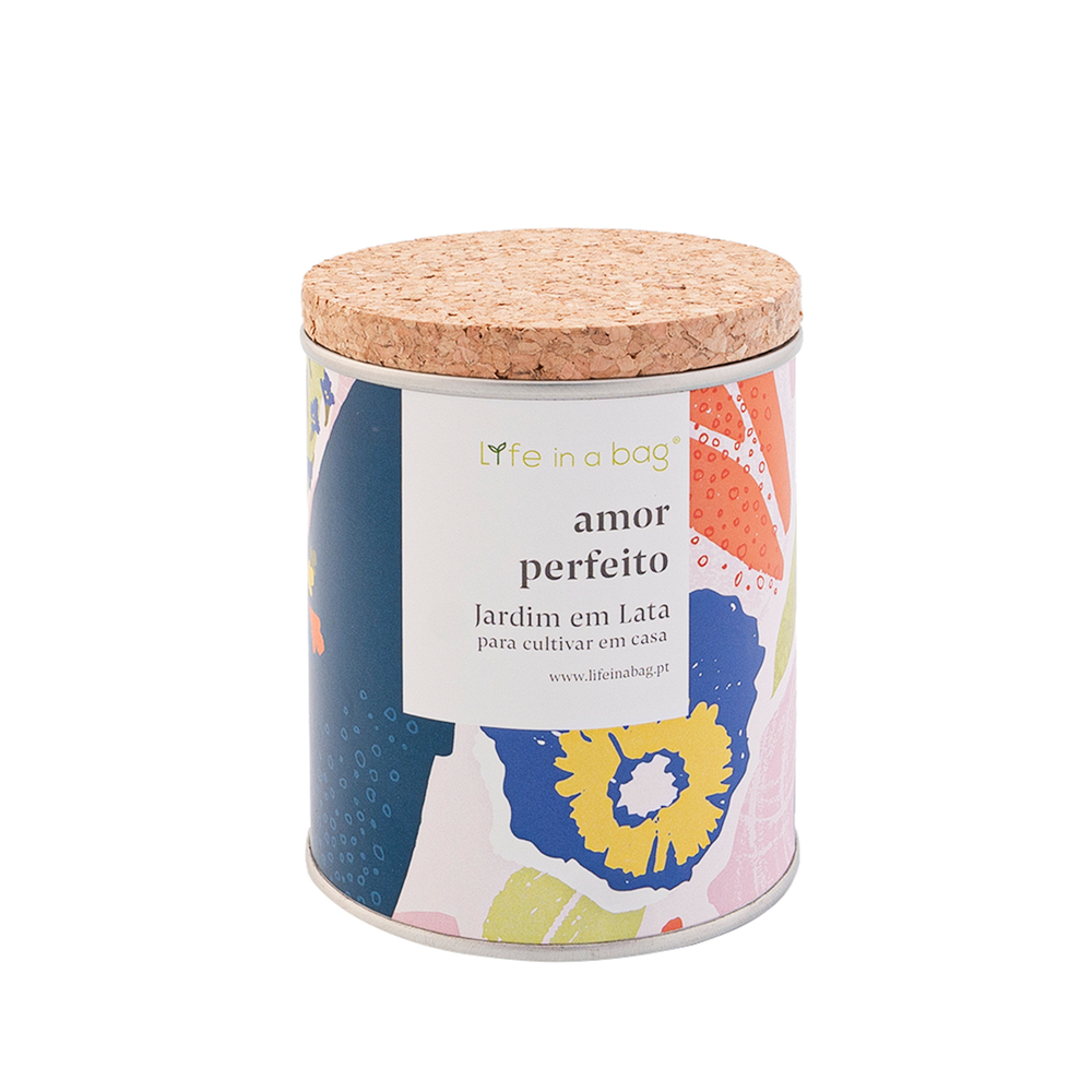 Jardin en boite floral pensée