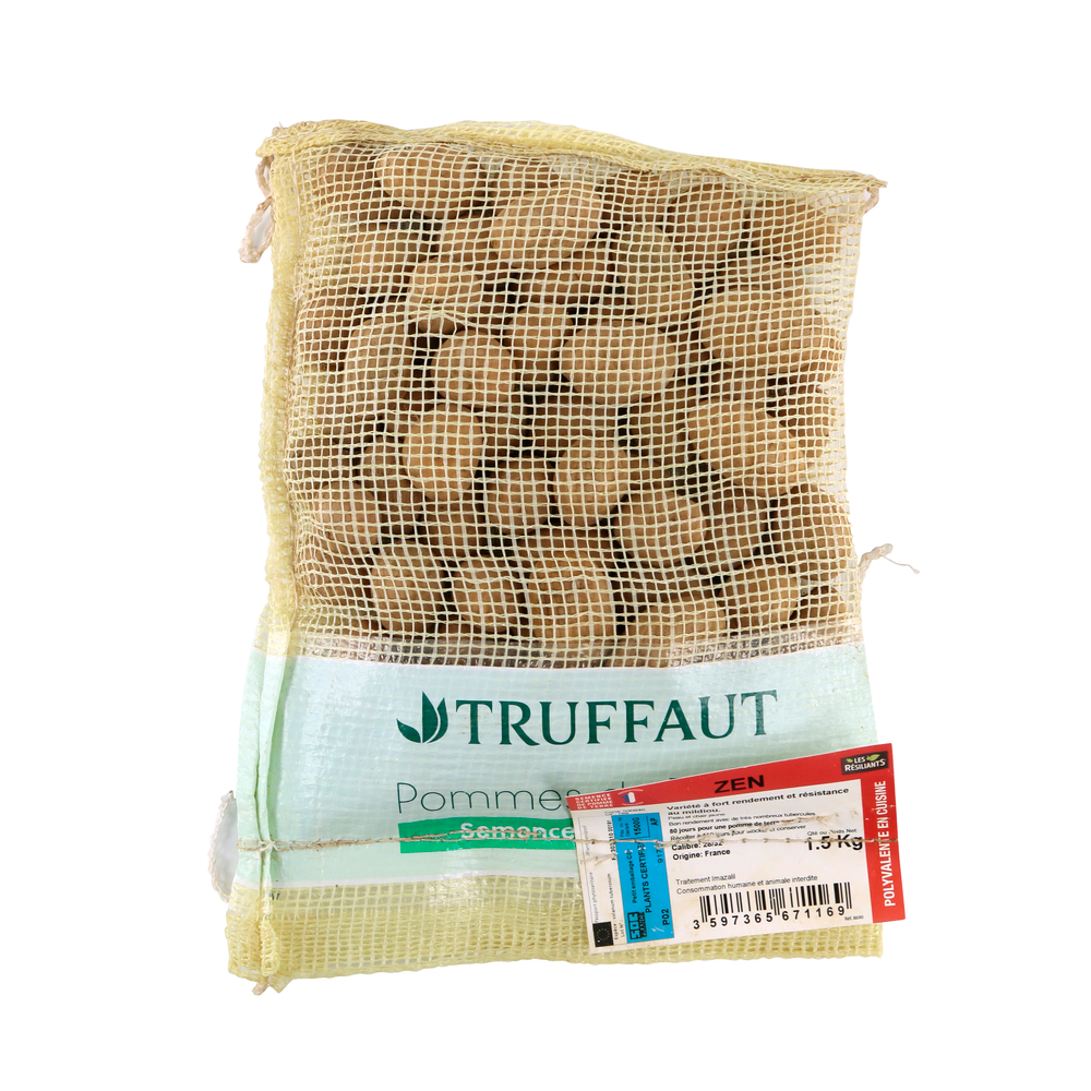 Plants de pommes de terre 'Zen' en sac - 1,5 kg
