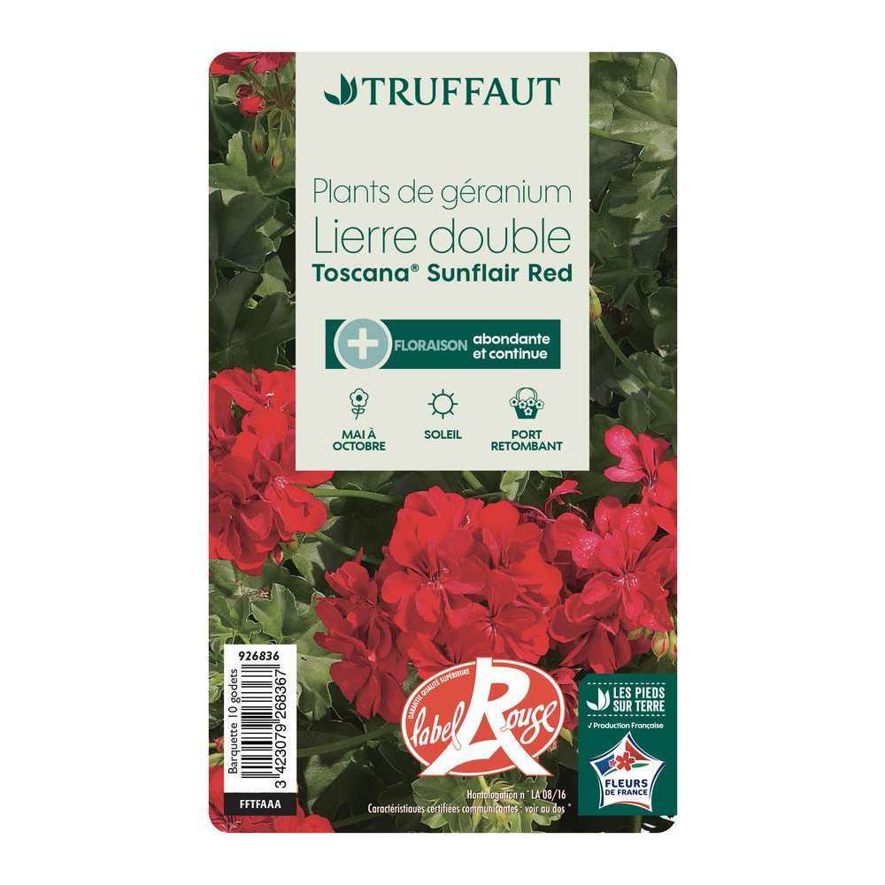 Géranium lierre double 'Toscana® Sunflair Red' Label Rouge : 10 plants