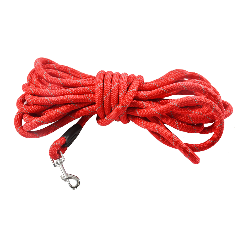 Longe pour Chien 5M Walk Rouge