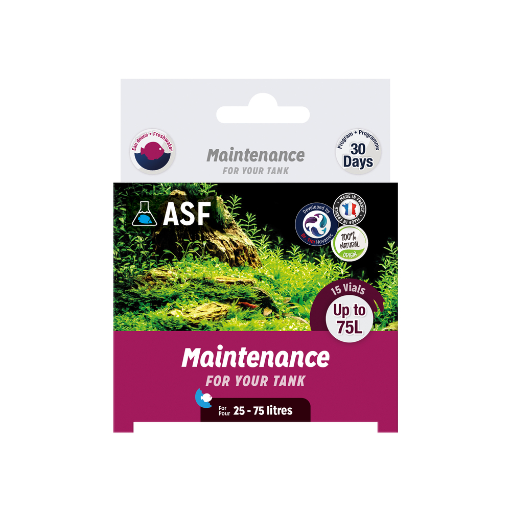 Maintenance Fresh Nano